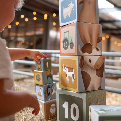 Building Blocks Cardboard | Little Farm