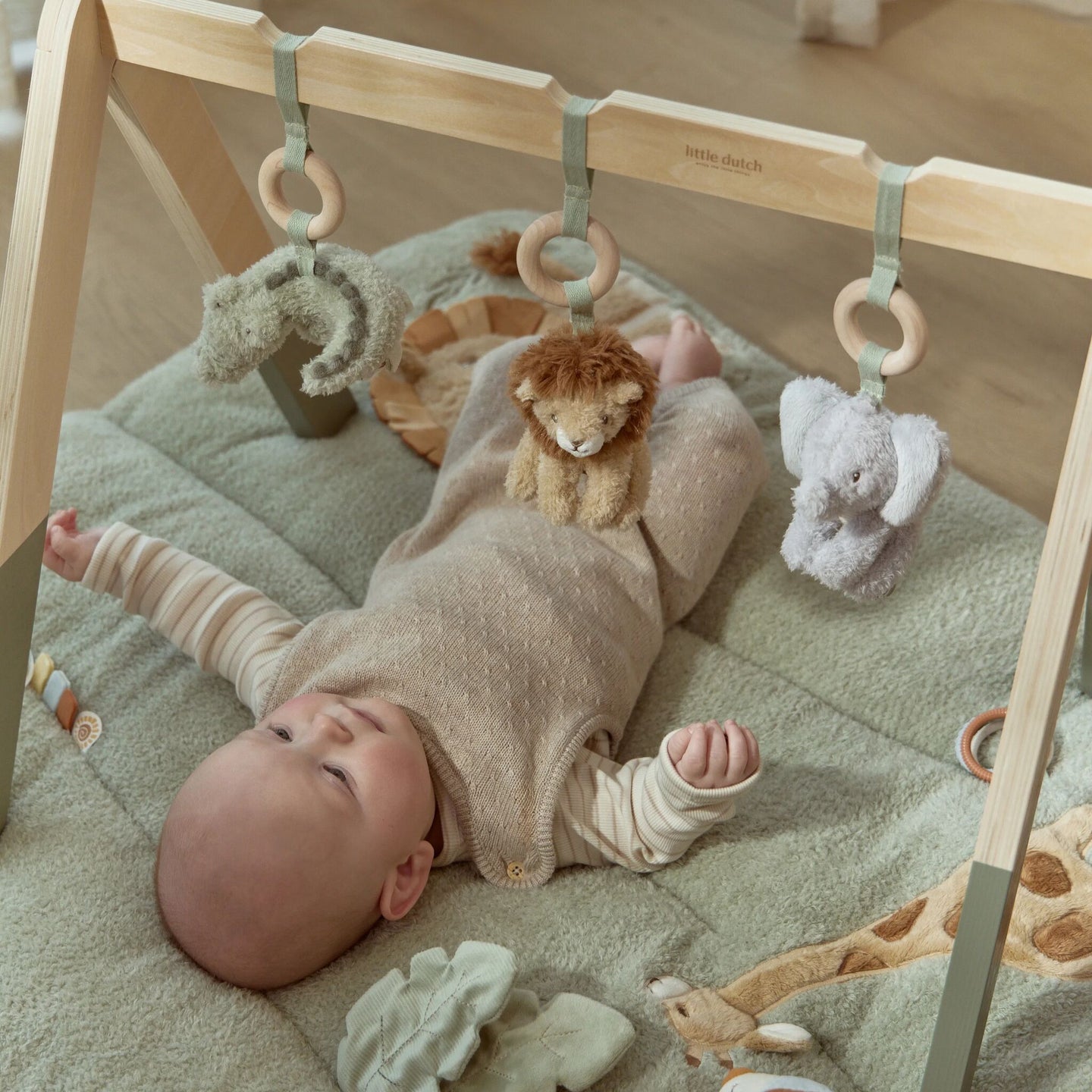 Baby Gym – Safari Friends