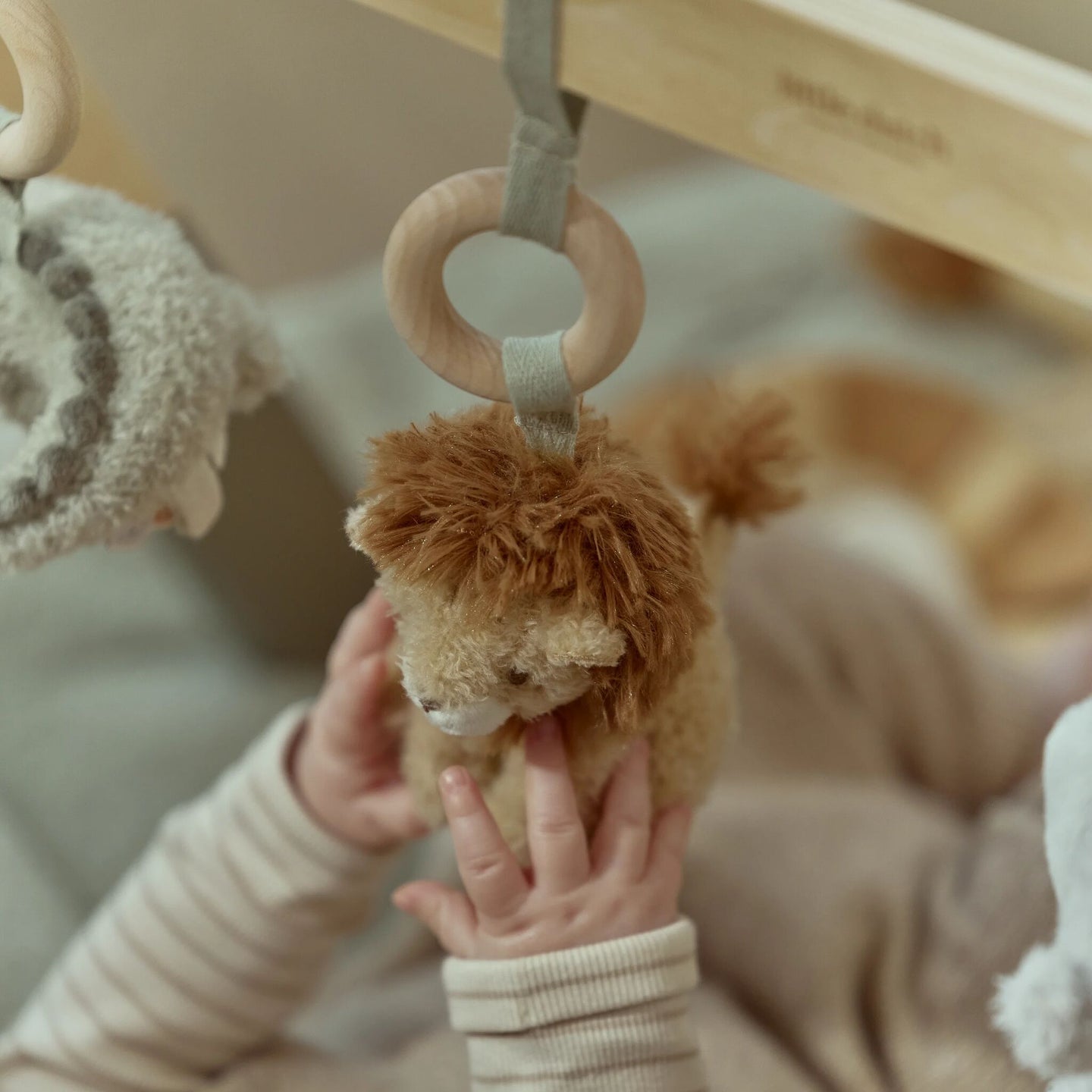 Baby Gym – Safari Friends