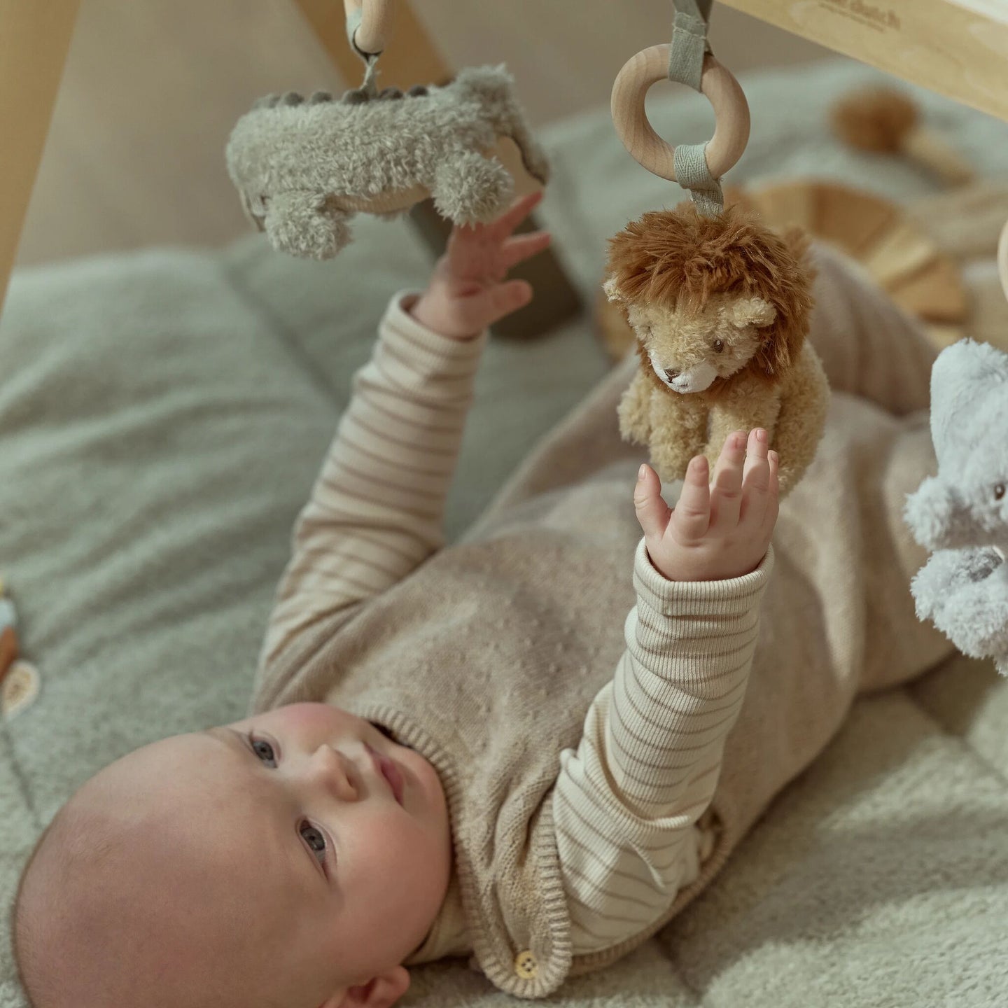 Baby Gym – Safari Friends