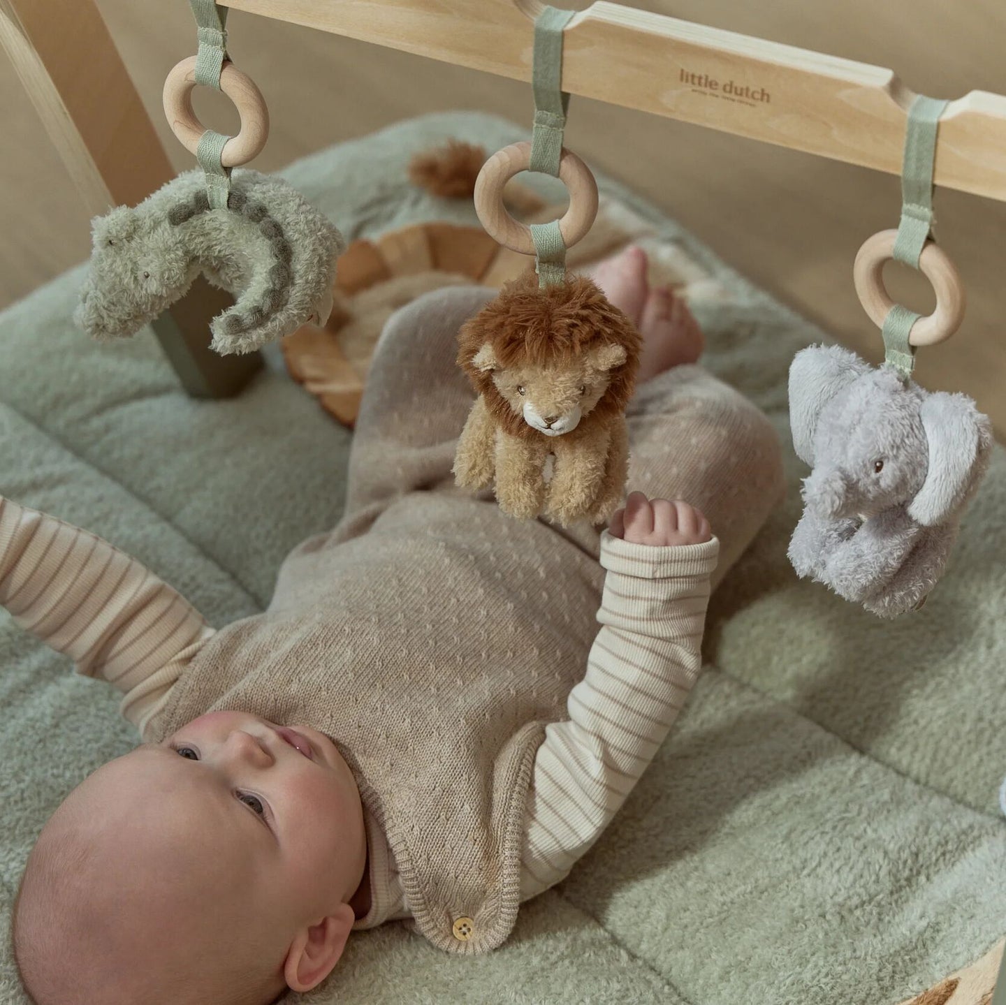 Baby Gym – Safari Friends