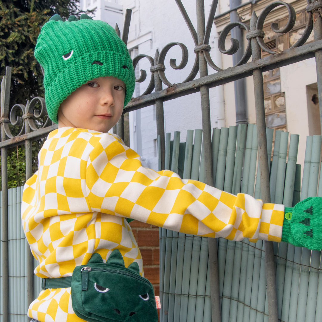 T-Rex Knitted Hat