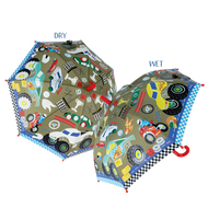 מטריה שמשנה צבע - מכוניות