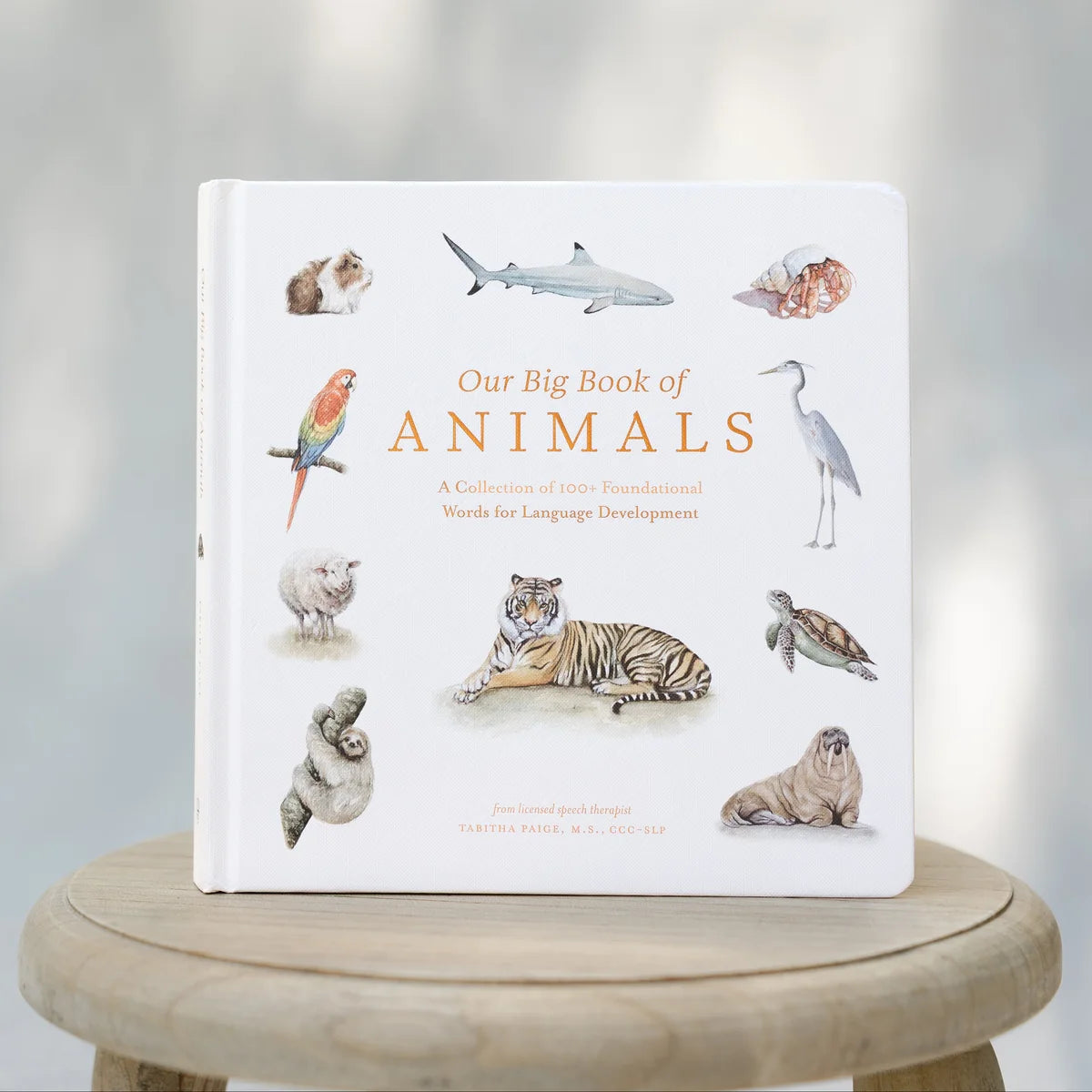 Our Big Book of Animals – הספר הגדול הראשון שלי על חיות