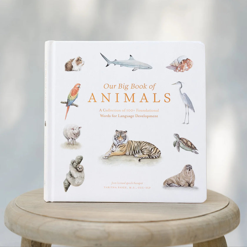 Our Big Book of Animals – הספר הגדול הראשון שלי על חיות