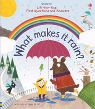 Cover Book First Questions - How Does Rain Fall?
